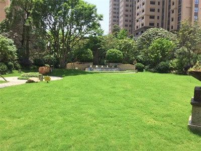 小区绿化种植