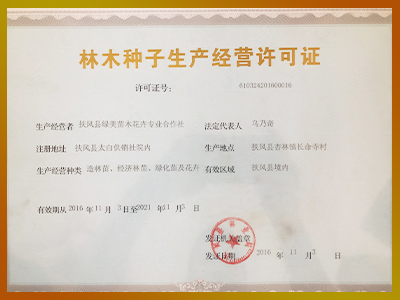 林木种子生产经营许可证