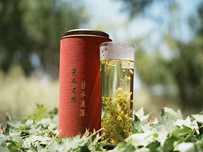 元宝枫茶